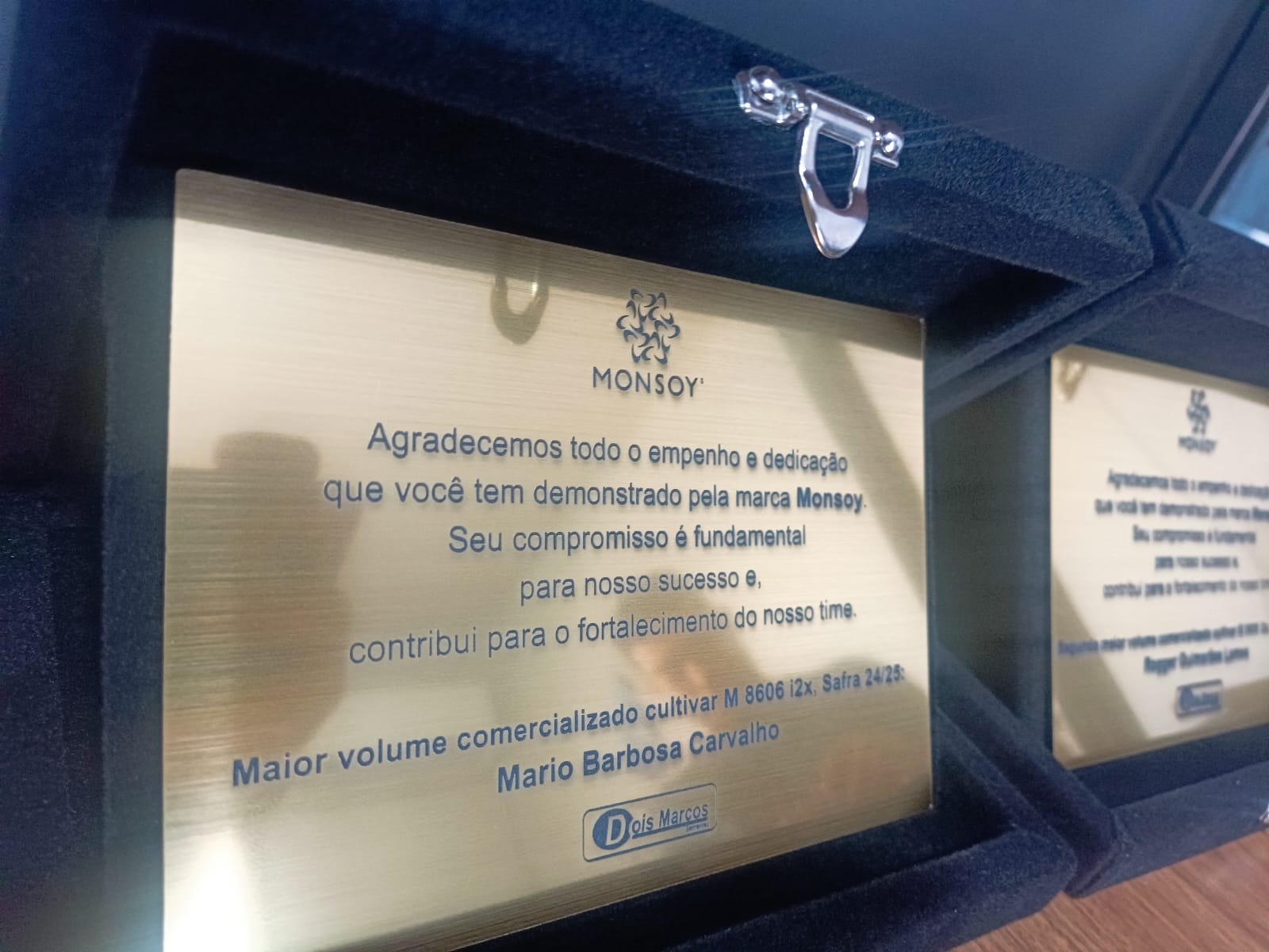 Placa de Homenagem em acrílico escovado com estojo de veludo - Placas de Homenagem - Imagem 7